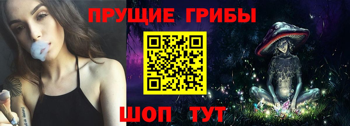 Камень-на-Оби  Псилоцибиновые грибы мухоморы  Вход с VPN  Галлюциногенные грибы мухоморы 